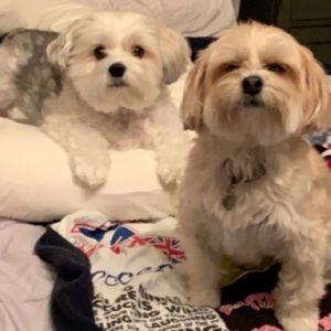 Meet your Posher, Jaclyn